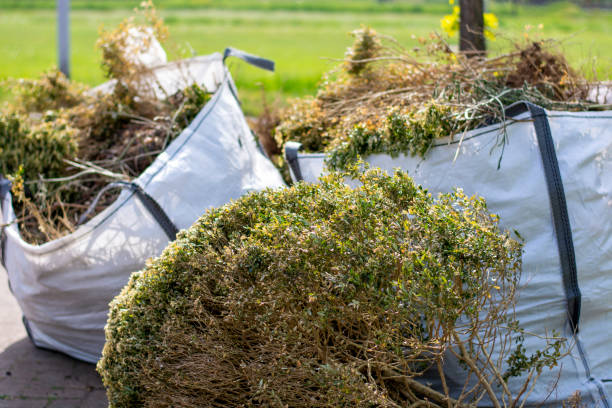 Best Yard Cleanup Services  in Cedarburg, WI