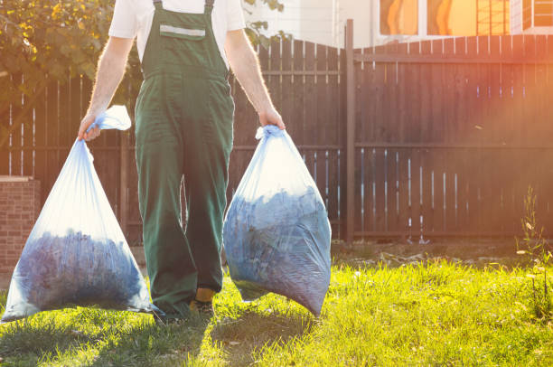 Best Electronics Removal Services  in Cedarburg, WI